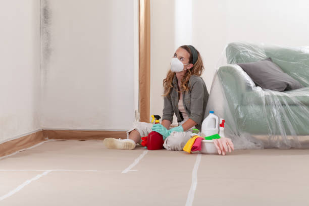 Reliable Mold Removal contractor in Brightwaters, NY by WQB Mold Removal